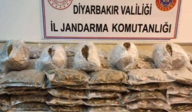 15 ilde uyuşturucu operasyonu: 881 kilo uyuşturucu ele geçirildi