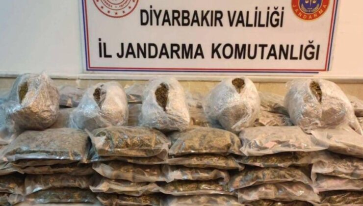 15 ilde uyuşturucu operasyonu: 881 kilo uyuşturucu ele geçirildi