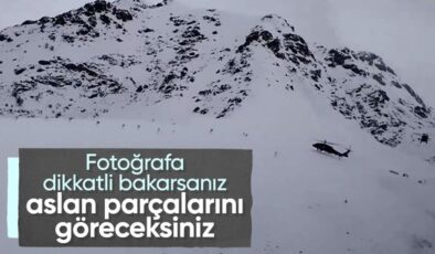 5 ilde terör örgütüne büyük vurgun! 20 mağara ve sığınak imha edildi