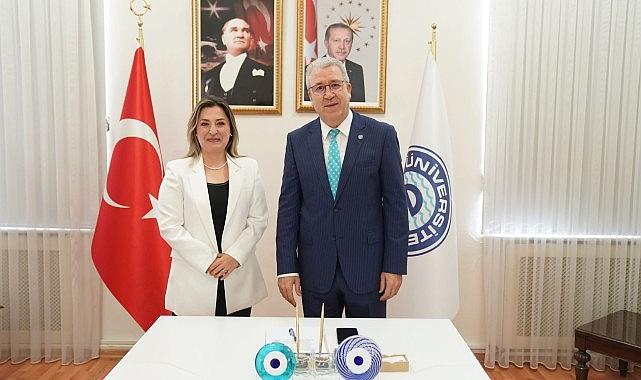 Bu proje ile hızlı ve güvenilir hasar tespit modeli geliştirilecek