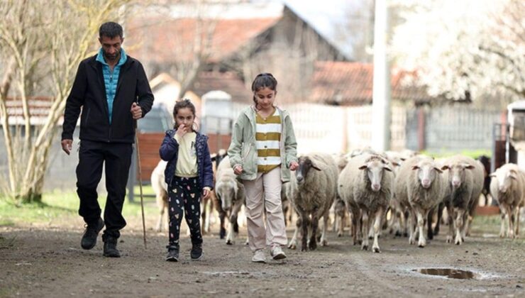 Düzce’de köy hayatı tutkunu çift, 2 koyunla başladıkları besicilikte çiftlik kurdu