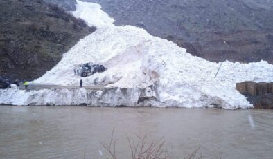 Hakkari’de çığ felaketi: Onlarca araç yolda kaldı