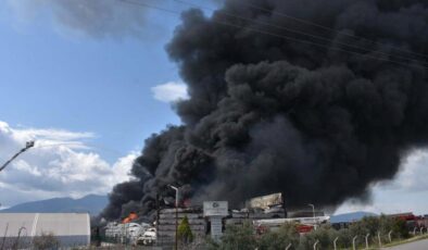 İzmir’de bir firmanın soğuk hava deposunda alevler yükseldi