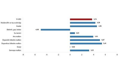 TÜİK: Yurt İçi Üretici Fiyat Endeksi (Yİ-ÜFE) yıllık %47,29 arttı, aylık %3,74 arttı