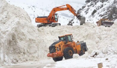 Van’da 10 ayrı bölgeye düşen çığ yolları geçişe kapattı