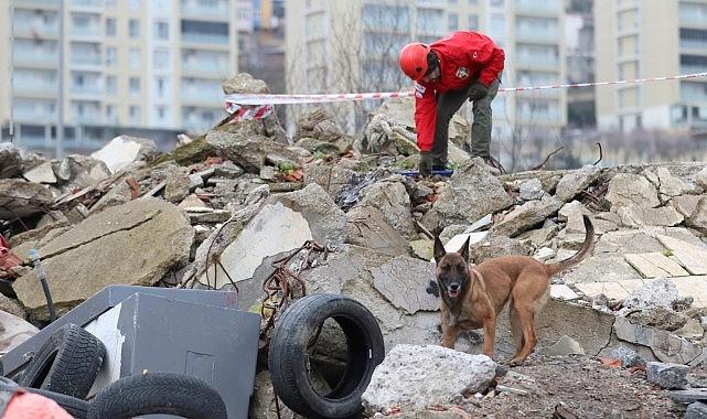 ‘Zeyna’dan Büyük Başarı