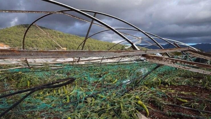 Antalya’da çiftçilere 18 yılda 914,7 milyon TL hasar tazminatı ödendi