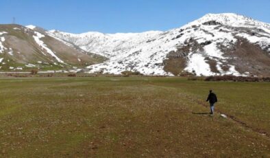 Bitlis’e bahar geldi: Kardelenlerden görsel şölen