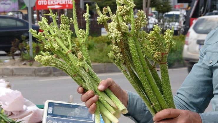 Bitlis’te yayla muzu uçkun tezgahlardaki yerini aldı