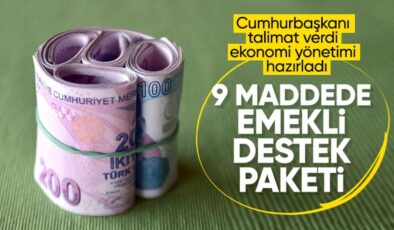 Emeklilere yeni destekler geliyor: 9 maddede destek programı