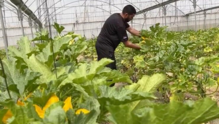 Filistinli yetkiliden açıklama: İthal edilen tüm mallar, İsrail limanları üzerinden ulaşıyor