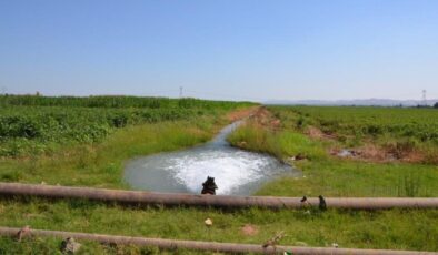 Güneydoğu’da elektrik faturaları kabardı! 18 bin abonenin 27 milyar TL borcu var