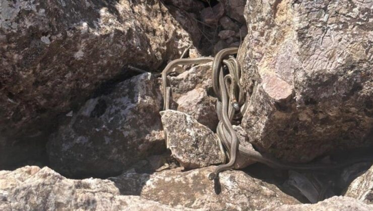 Hakkari’den ‘Yılan Adası’ manzaraları