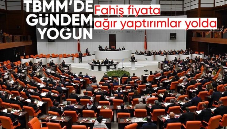 Meclis’in gündemi bu hafta yoğun: Fahiş fiyata ağır yaptırımlar yolda