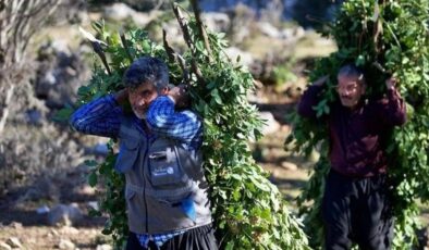 Orman köylülerine sağlanan desteklerle ilgili yeni düzenleme Resmi Gazete’de