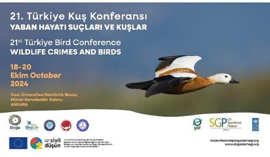 21. Türkiye Kuş Konferansı 18-20 Ekim 2024’te Yaban Hayatı Suçları ve Kuşlar temasıyla Ankara’da.