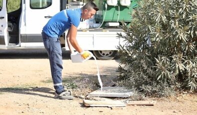 Didim’de ilaçlama çalışmaları aralıksız devam ediyor.