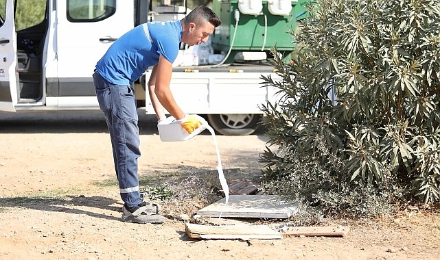 Didim’de ilaçlama çalışmaları aralıksız devam ediyor.