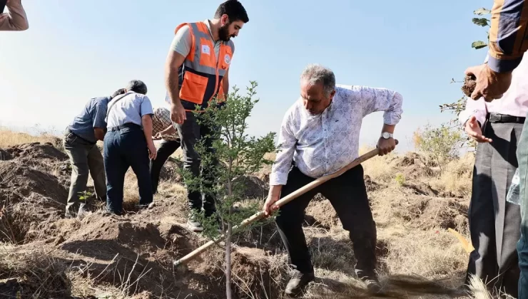 “Diktiginiz fidanlar dünyaya iyilik olarak yansıyacak”