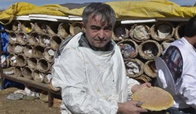 Dünya çapında altın bal ödülü aldı! Bitlis’in karakovan balı bu yılda rekor kırıyor