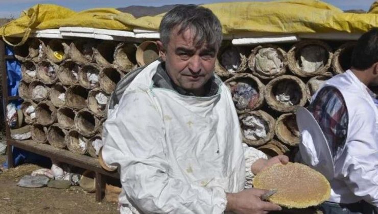 Dünya çapında altın bal ödülü aldı! Bitlis’in karakovan balı bu yılda rekor kırıyor