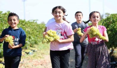 Elazığ’da üzüm hasadı çocuklarla daha renkli hale geliyor!