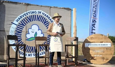 Harran Ovası’nda ikinci rejeneratif pamuk hasadı