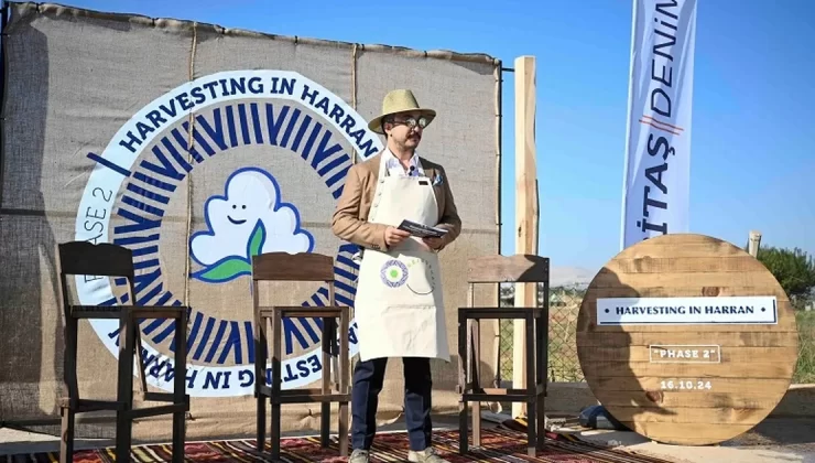 Harran Ovası’nda ikinci rejeneratif pamuk hasadı