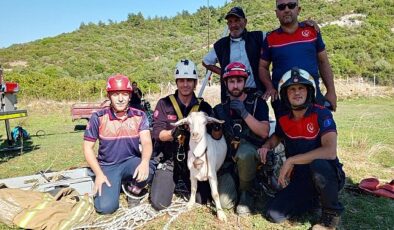 İzmir İtfaiyesi’nden yürekleri ısıtan kurtarma operasyonu