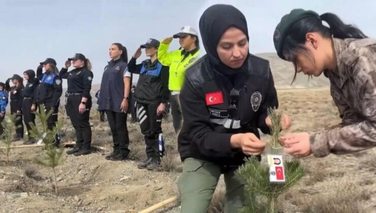 Kadın şehitler unutulmadı: Erzincan’da şehit polisler için fidan dikildi!