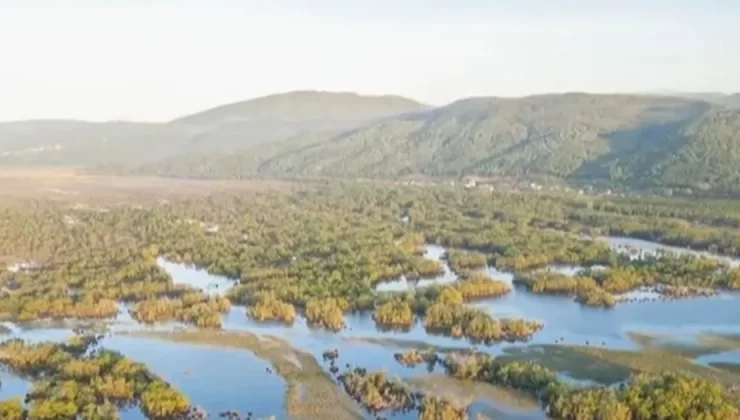 Karacabey Longozu su toplamaya başladı