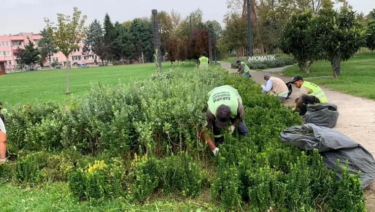 Sakarya’da şehrin dört bir yanına sonbahar dokunuşu