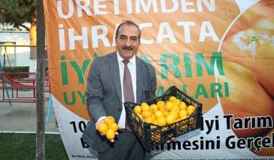 Satsuma mandalina yüklü TIR’lar ihracata yolcu edildi