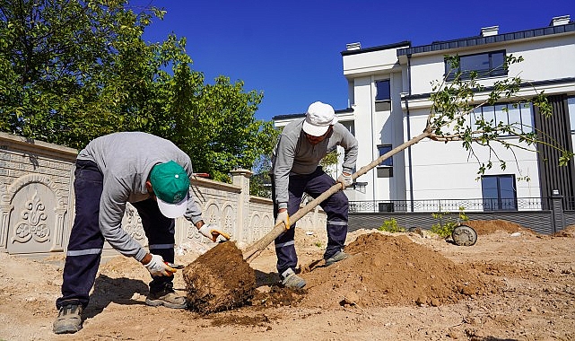 Selçuklu’da Yeşil Doku Güçlendiriliyor