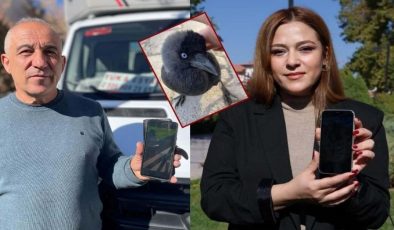 Sevdiği karga başına dert oldu: Karga polemiği karakolluk etti! O video gündem olmuştu