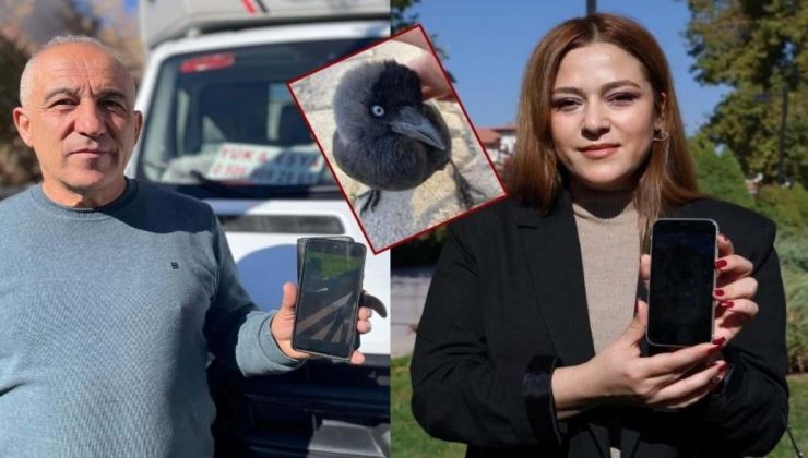 Sevdiği karga başına dert oldu: Karga polemiği karakolluk etti! O video gündem olmuştu