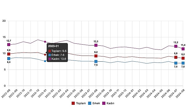 Tüik: Mevsim etkisinden arındırılmış işsizlik oranı %8,5 seviyesinde gerçekleşti