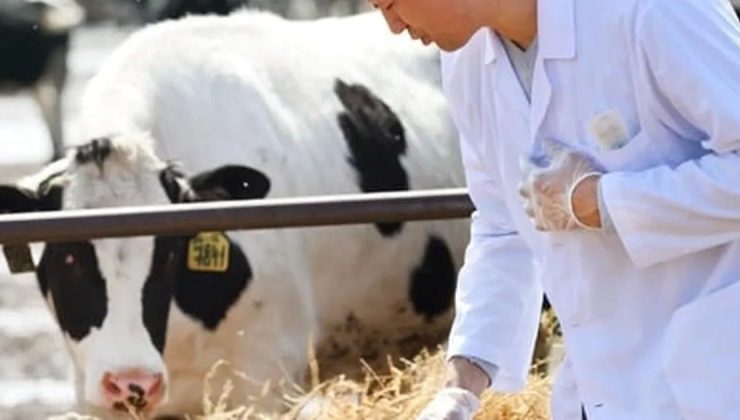 Veteriner harcamaları tarımsal girdide başı çekti