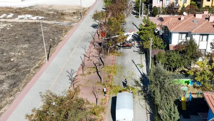 Konya Selçuklu’da ağaçlar budanıyor… Atıklar kompost gübreye dönüştürülüyor