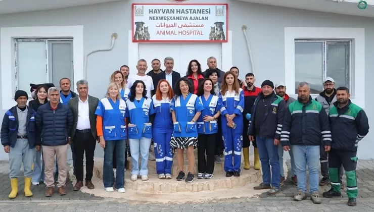 Mardin’in çöpçü eşekleri tarihe karışıyor