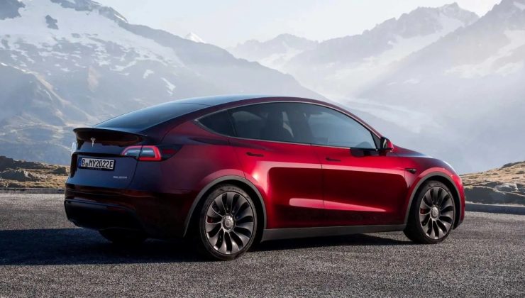 Otonom Tesla’nın yeni “marifeti”: Bu kez de geyiği biçip geçti